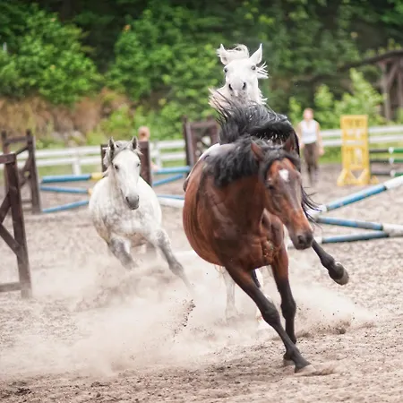 Pensjonat Folwark Książęcy Kliczków
