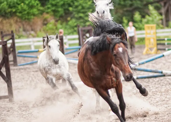 Maison d'hôtes Folwark Ksiazecy Kliczków