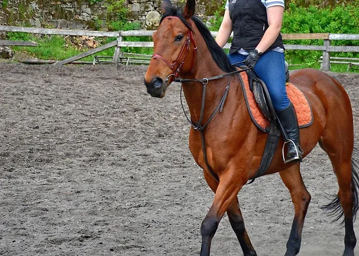 Folwark Ksiazecy بيت ضيافة كليتكوف